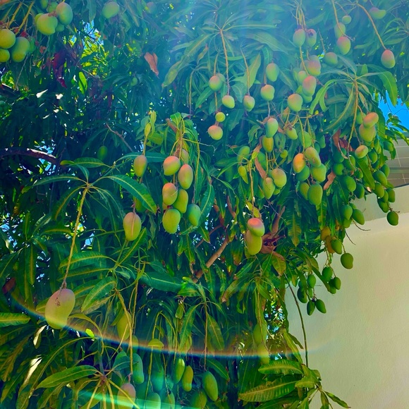 Meet your Posher, Kate - Picture 4 of 13